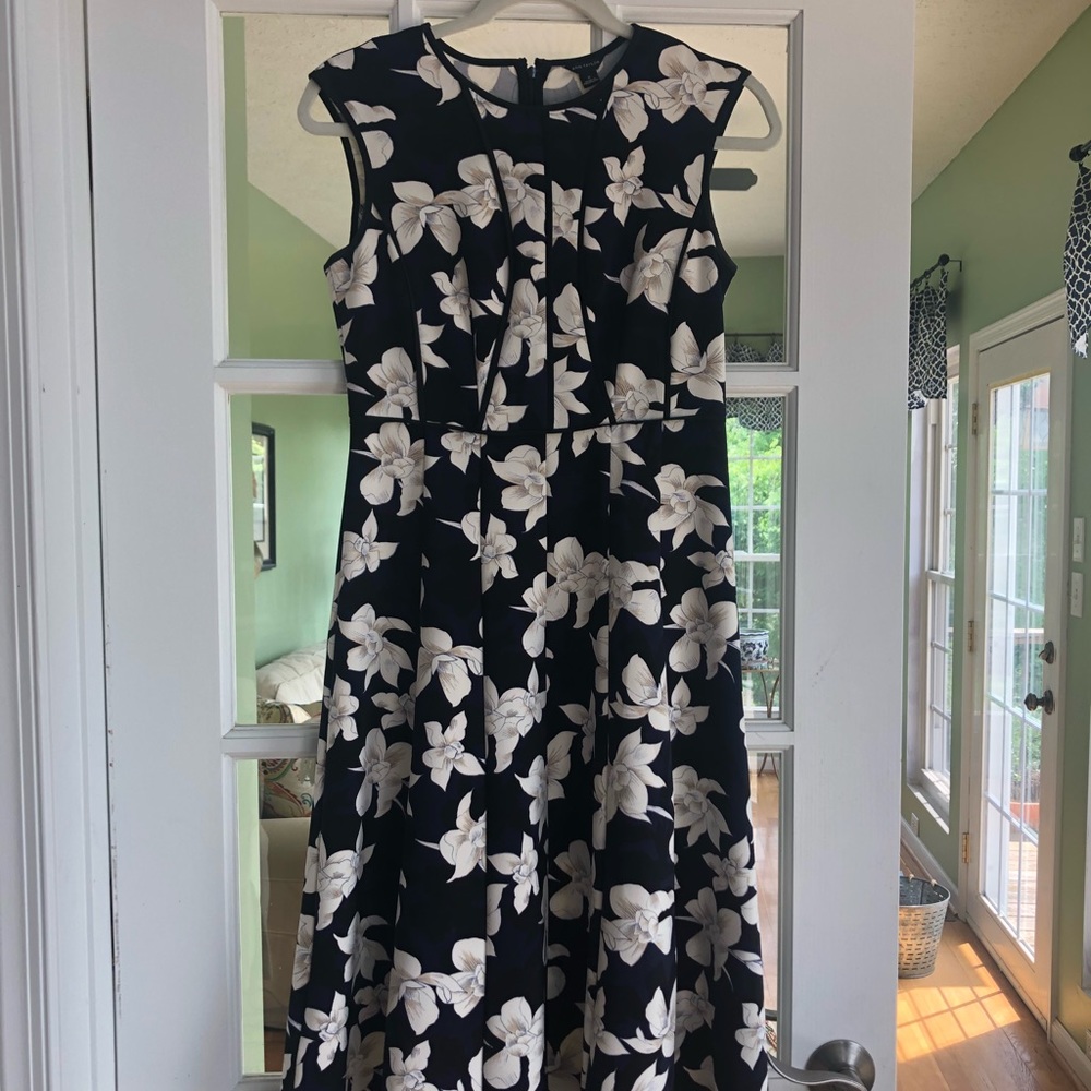 EUC Ann Taylor Fit and Flare Navy Floral Dress 2